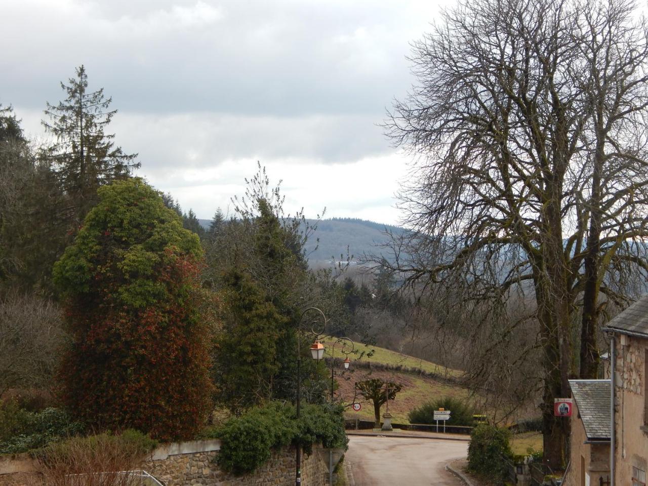 Le Lion D'Or Hotel Ouroux-en-Morvan Exterior foto